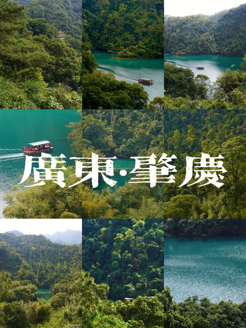 肇庆鼎湖山景区图片_肇庆鼎湖山风景图片