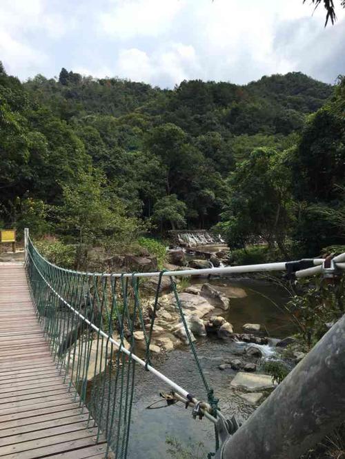 万绿谷休闲度假风景区_万绿谷休闲度假风景区好玩吗一日游