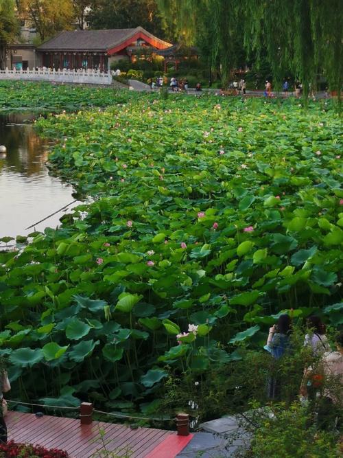 北京什刹海有什么好玩的地方_北京什刹海景点