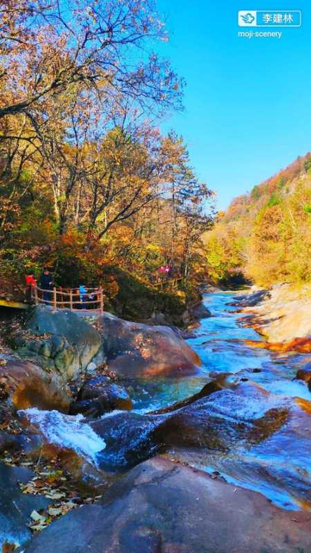 黄柏塬风景区-黄柏塬风景区门票价格