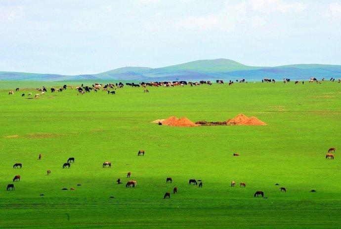 科尔沁大草原旅游攻略-科尔沁大草原旅游攻略自驾游