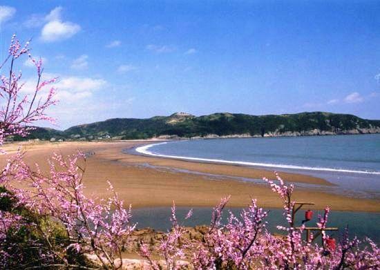 舟山桃花岛旅游攻略一日游_舟山桃花岛旅游攻略一日游图片