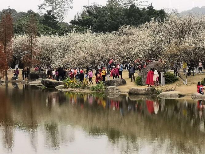 香雪公园门票价格-广州香雪公园门票价格